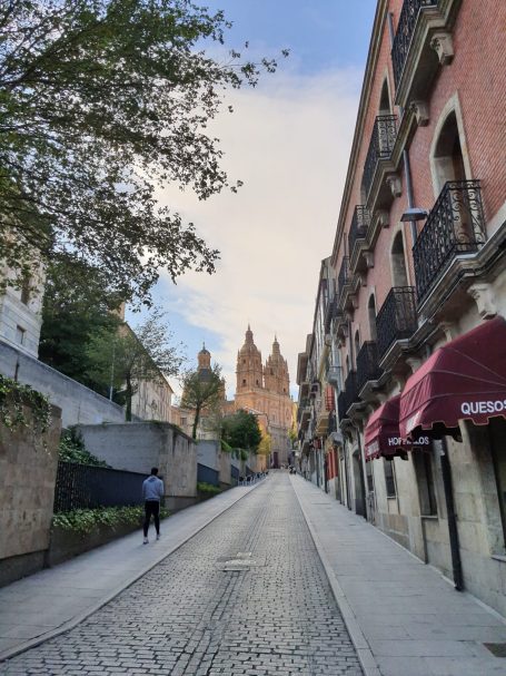 La Calle Palominos de Salamanca La Calle Palominos de Salamanca